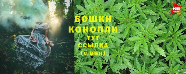 PSILOCYBIN Балахна