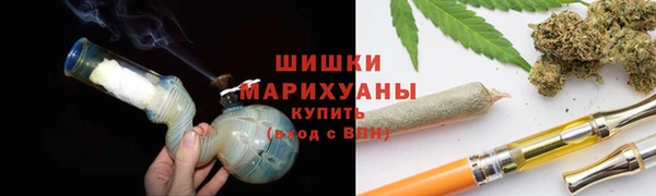 PSILOCYBIN Балахна